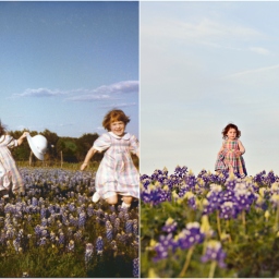 Blue Bonnets in Bloom with sabrina bean photography